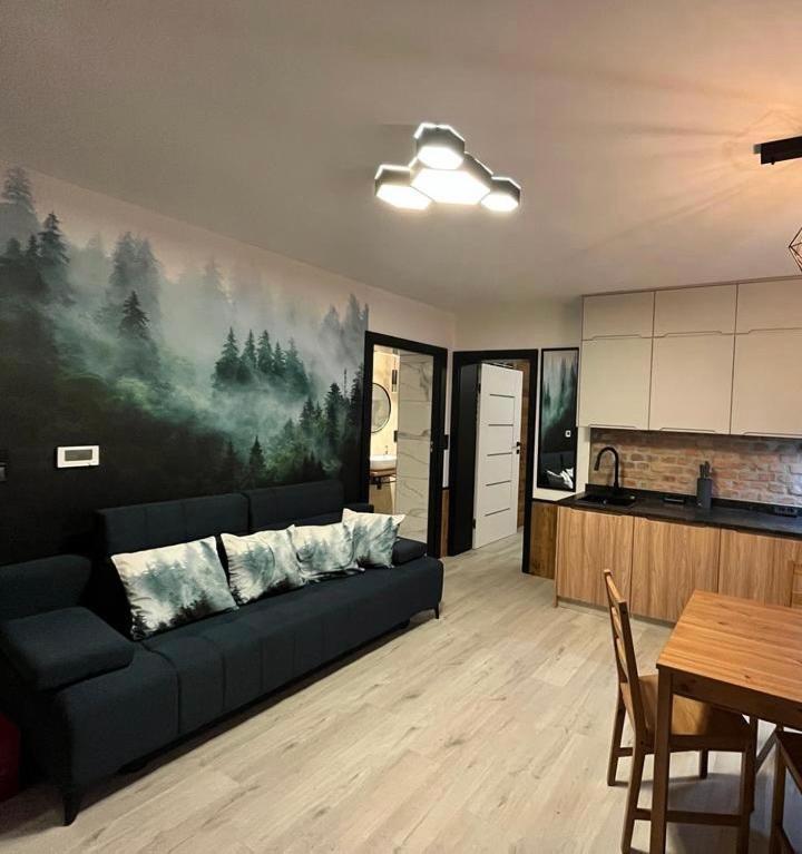 Apartament Muszyna