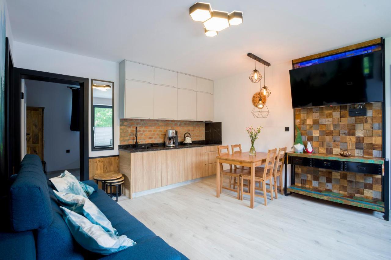 Apartament Muszyna Apartment *